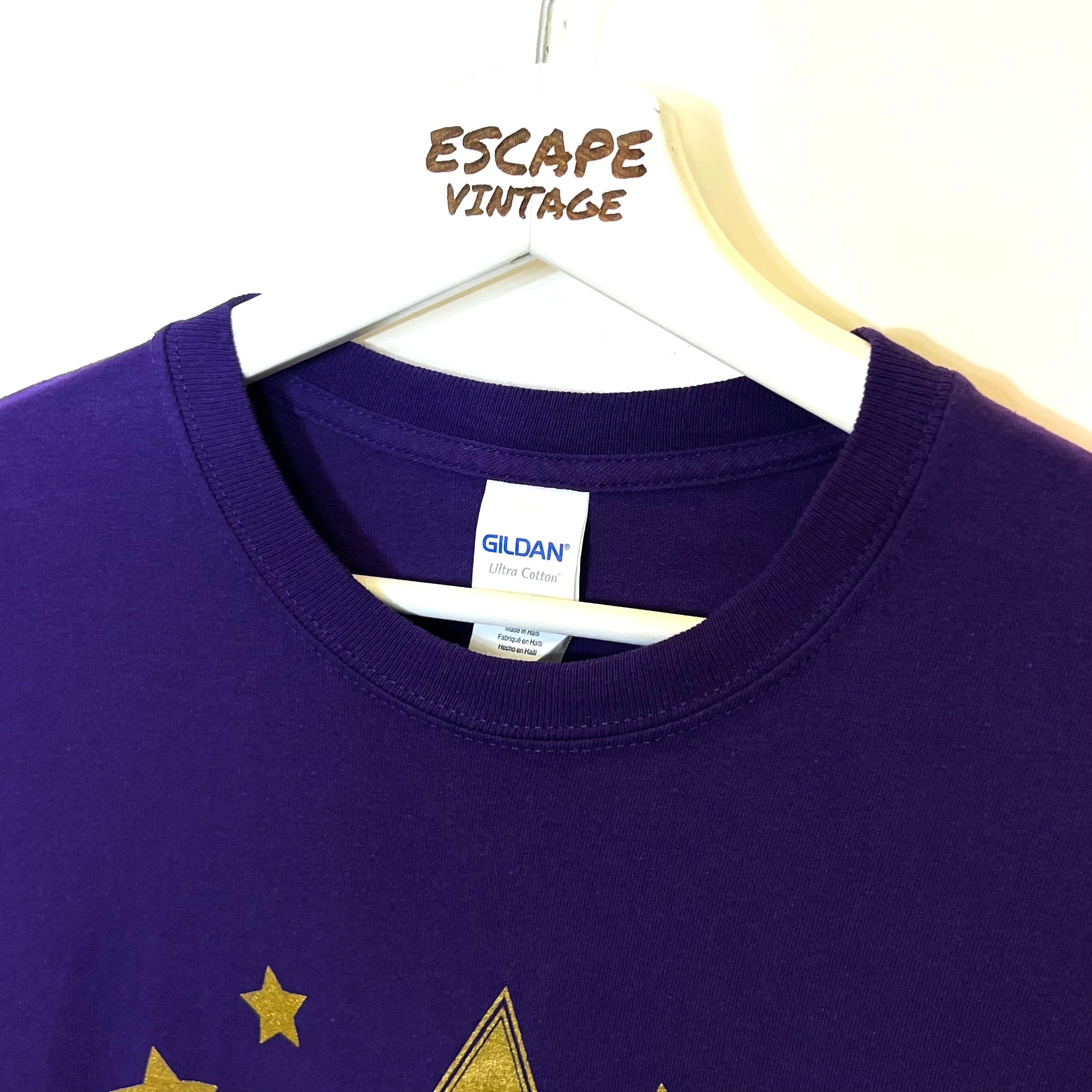 T-Shirt Gildan Grafica Vintage [M]
